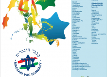 Maccabiah-rollup-2013.jpg